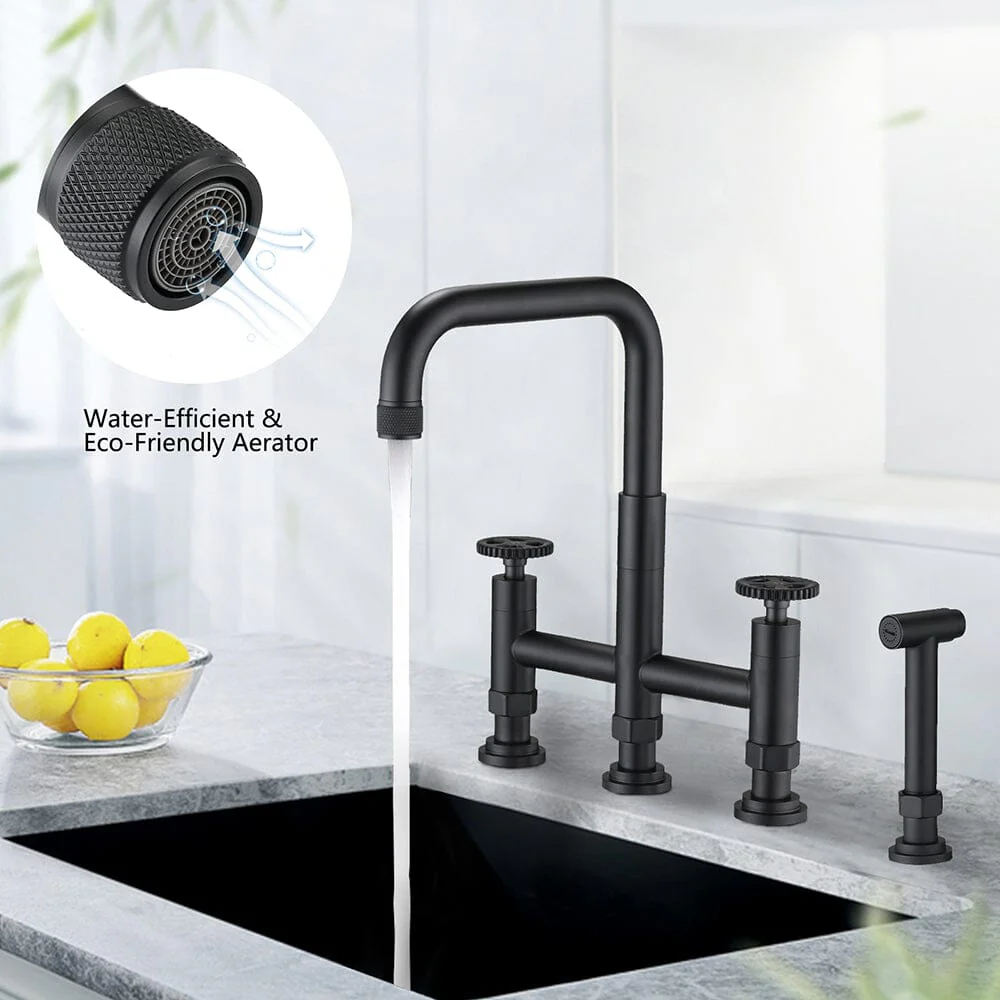 Giving Tree Double Handle Bridge Kitchen Faucet with Side Spray - Image 16