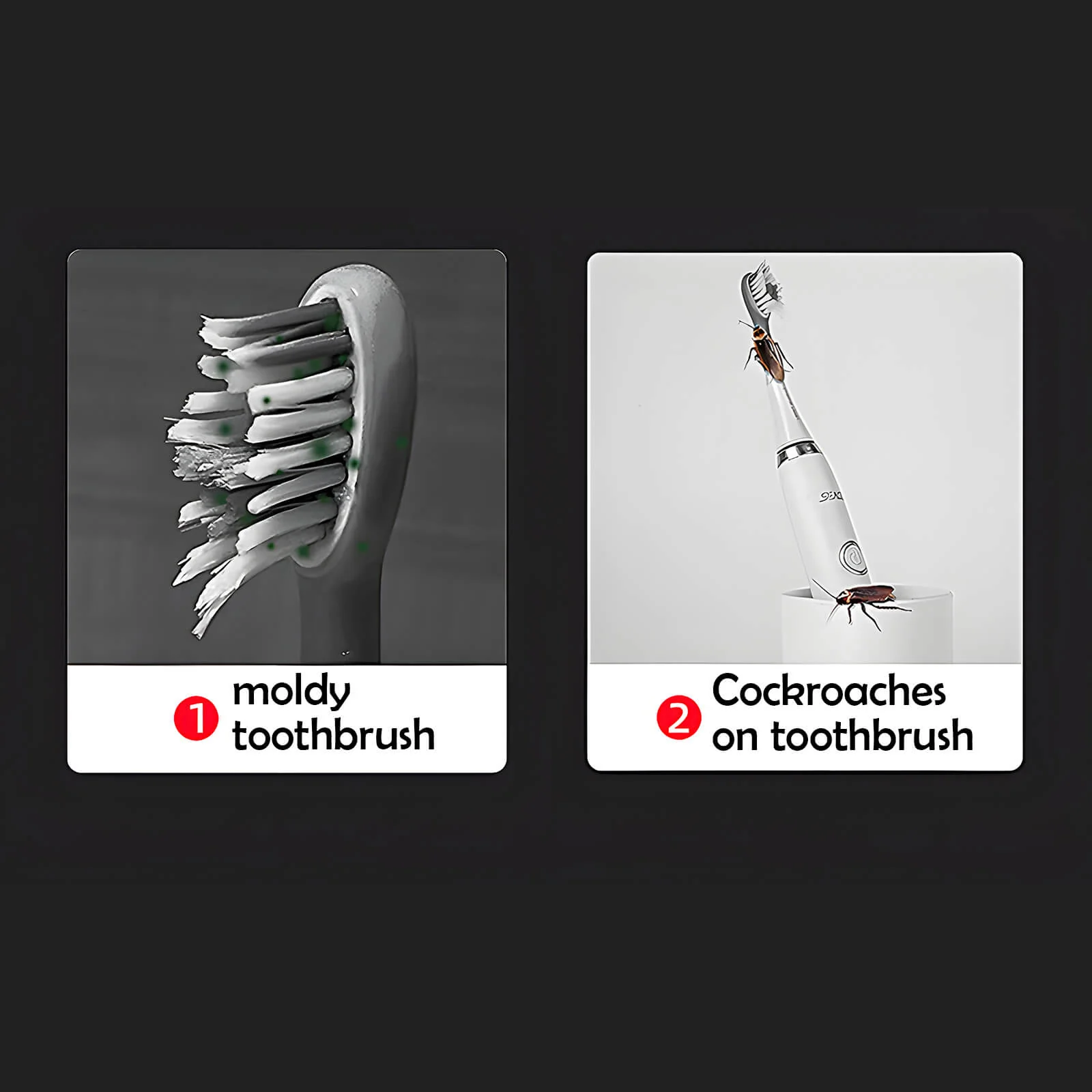 UV Disinfecting Toothbrush Holder Wall Mounted with Cover, Auto Open/Close Covered for Bathroom - Image 5